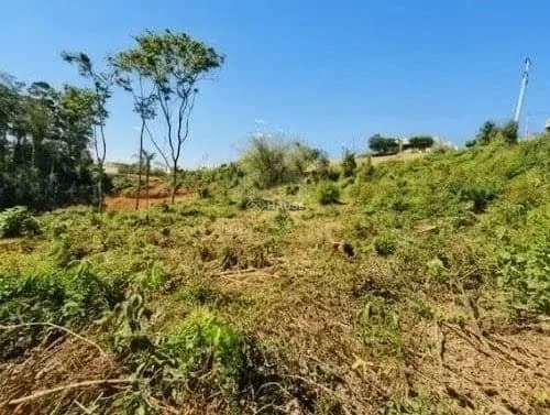 TERRENO DE 1.278 m² NO VILLE DE FRANCE | AMPLO ESPAÇO PARA UM PROJETO DIFERENCIADO - Terreno em Condomínio Ville de France SP