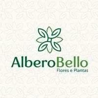 Albero Bello Flores e Plantas
