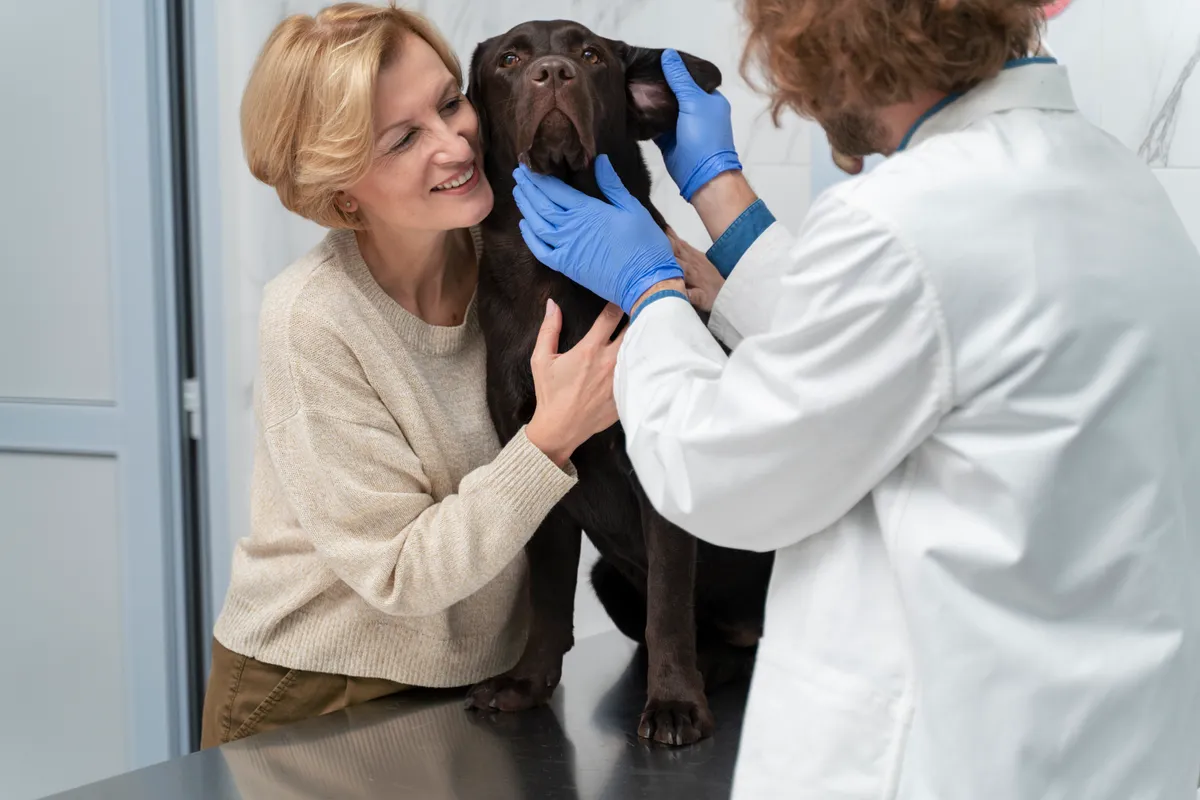 Flor de Lótus Veterinária - Serviços para Pets em Itatiba em Itatiba, SP