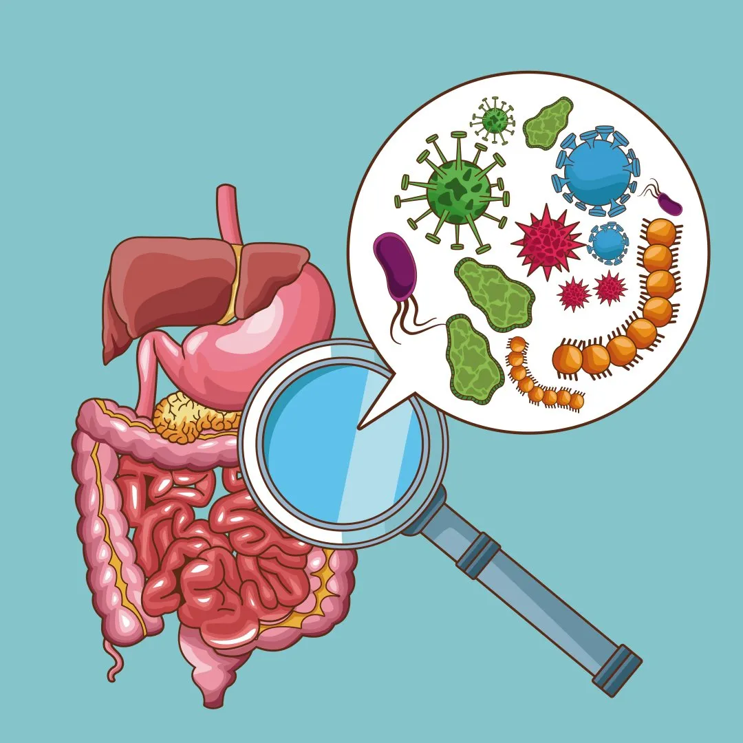 Bioface — Saúde em Itatiba em Itatiba