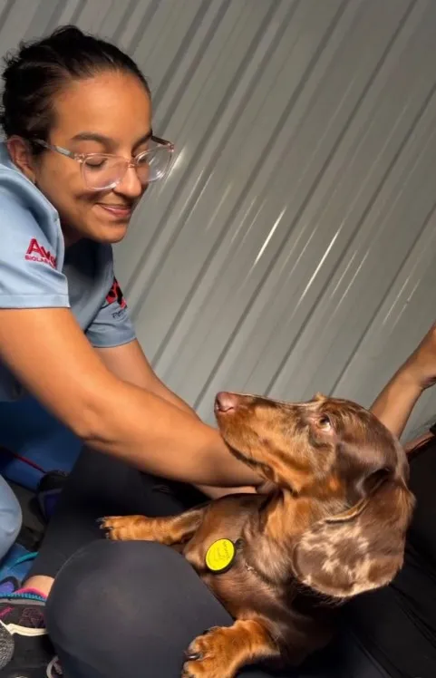 Flor de Lótus Veterinária - Serviços para Pets em Itatiba em Itatiba, SP