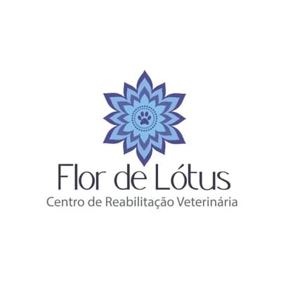 Veterinário em Itatiba: Saiba Quando Levar Seu Pet para uma Avaliação Especializada